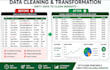 do professional microsoft excel work and cleaning  formatting