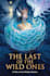draw fantasy book cover, illustration