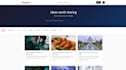 create websites, chatbots and help in testing