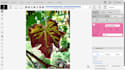 annotate your images using cvat