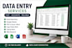 do accurate data entery copy paste excal and pdf conversion