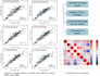 build machine learning models using python and r
