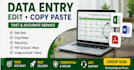 do accurate data entry, excel data entry and web research
