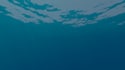 write optimized shaders for you