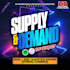 audit and prepare your music release professionally
