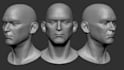 do 3d models and 3d rigging