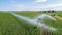 create landscape master plans garden layouts irrigation and site plans