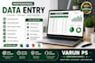do data enrty full expert and