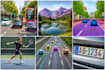 annotate images with bounding boxes, polygons, and masks