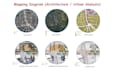 design a professional architectural presentation board, portfolio, and competiti