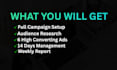 setup and manage facebook ads campaign for sales