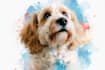 draw watercolor pet portrait