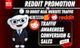 promote website traffic reddit link post