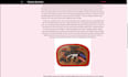 write well researched articles and blog posts