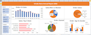 create professional excel dashboard and KPI report