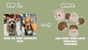 design cute pet stickers