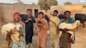 create african happy birthday video or africa happy birthday video