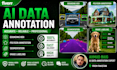 professional ai data annotation and data labeling