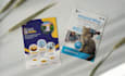 design a clean, creative and printable flyer