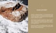 write engaging web content for your brand