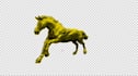 add custom motion graphics and visual effects to your live action videos