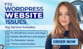 update wordpress issues fix wordpress elementor bug errors wordpress woocommerce