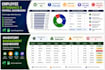 create a professional excel dashboard