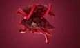 create best 3d medical explainer animation video for 3d sepsis retained placenta