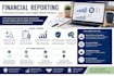 do professional financial analysis, budgeting and accounting