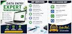 accurate data entry, excel data typing, copy paste