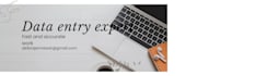 professional data entry and excel data cleanup