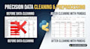 write clean code, python scripts, and handle java development tasks