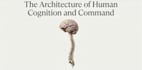 create clear brain and nervous system study guides