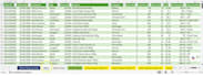 do accurate data entry,financial data cleaning,and excel spreadsheet