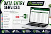 do accurate data entry excel and pdf coversion