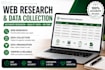 do accurate data entry, copy paste and web research