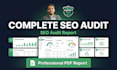 do professional website SEO audit with technical analysis