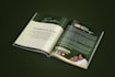 do a magazine design, brochure, magazine layout, newsletter