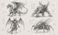 create detailed creature and monster pencil sketches