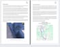 prepare rams risk assessment and method statement