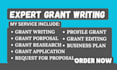 write a professional grant proposal, grant application,