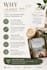 create a professional airbnb welcome book
