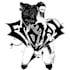 create custom digital illustrations