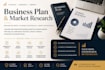 provide professional business plan