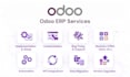 build custom odoo erp, CRM, website and module development