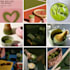 manage your german social media professionally