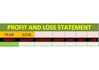 create a professional profit and loss statement in excel