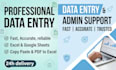 professional data entry and excel services