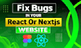 fix bugs and issues in your mern stack web application