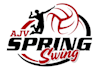 design unique volleyball logo